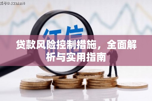 河源贷款风险控制措施，全面解析与实用指南