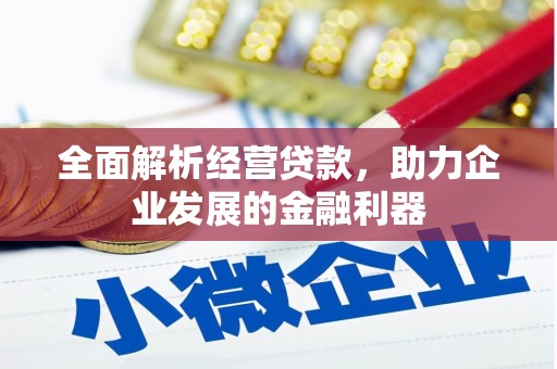 河源全面解析经营贷款，助力企业发展的金融利器