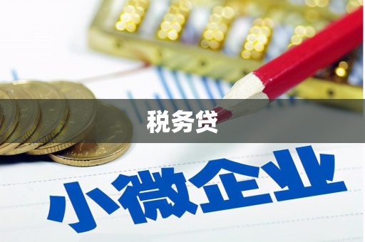 河源税务贷
