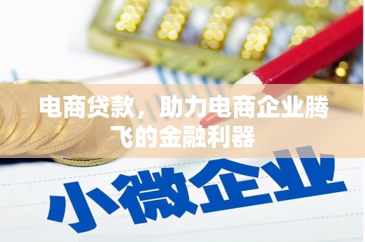 河源电商贷款，助力电商企业腾飞的金融利器