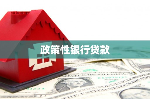 河源政策性银行贷款