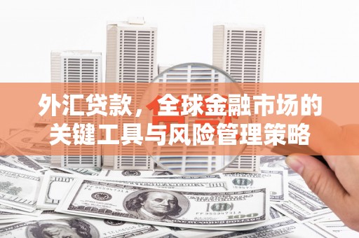 河源外汇贷款，全球金融市场的关键工具与风险管理策略