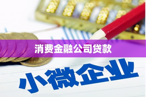 河源消费金融公司贷款
