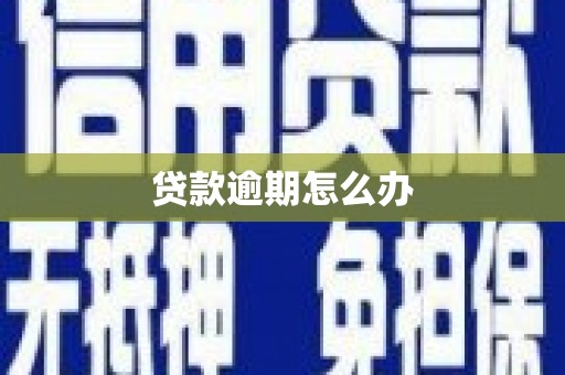 河源贷款逾期怎么办