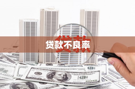 河源贷款不良率