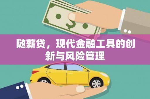 河源随薪贷，现代金融工具的创新与风险管理