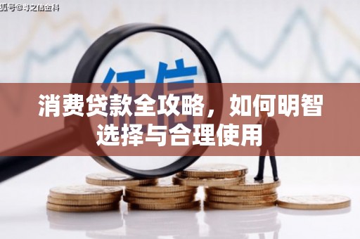 河源消费贷款全攻略，如何明智选择与合理使用