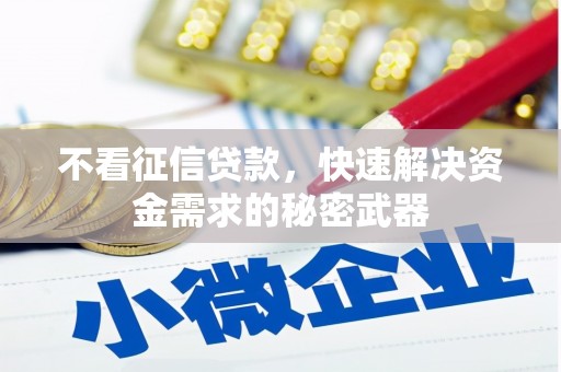 河源不看征信贷款，快速解决资金需求的秘密武器