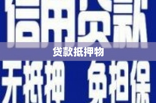河源贷款抵押物