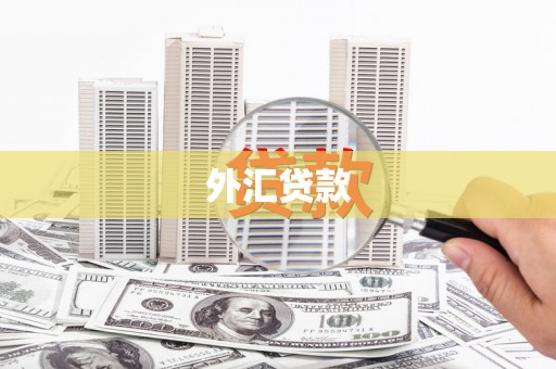 河源外汇贷款