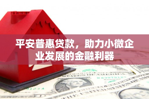 河源平安普惠贷款，助力小微企业发展的金融利器