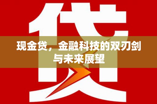 河源现金贷，金融科技的双刃剑与未来展望