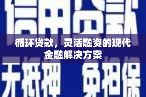 河源循环贷款，灵活融资的现代金融解决方案
