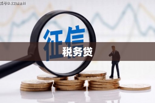 河源税务贷