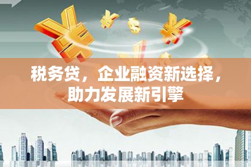 河源税务贷，企业融资新选择，助力发展新引擎