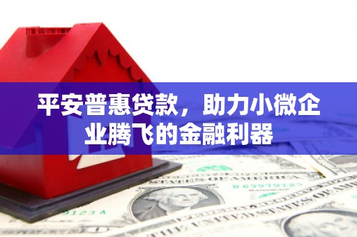 河源平安普惠贷款，助力小微企业腾飞的金融利器
