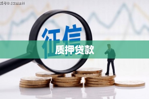 河源质押贷款