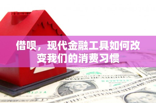 河源借呗，现代金融工具如何改变我们的消费习惯