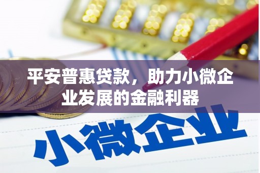 河源平安普惠贷款，助力小微企业发展的金融利器