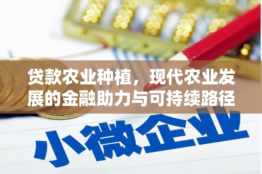河源贷款农业种植，现代农业发展的金融助力与可持续路径