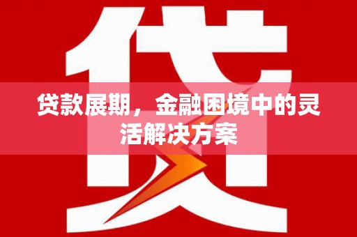 河源贷款展期，金融困境中的灵活解决方案