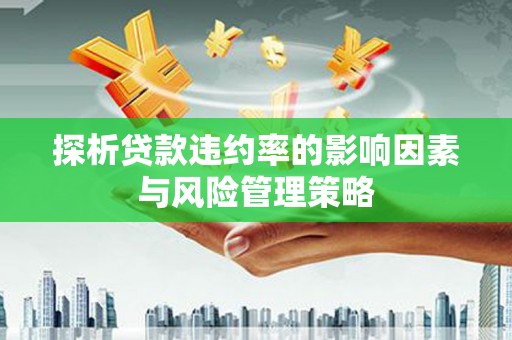 河源探析贷款违约率的影响因素与风险管理策略