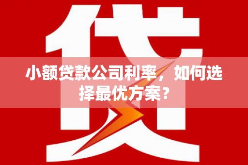 河源小额贷款公司利率，如何选择最优方案？
