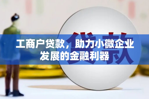 河源工商户贷款，助力小微企业发展的金融利器