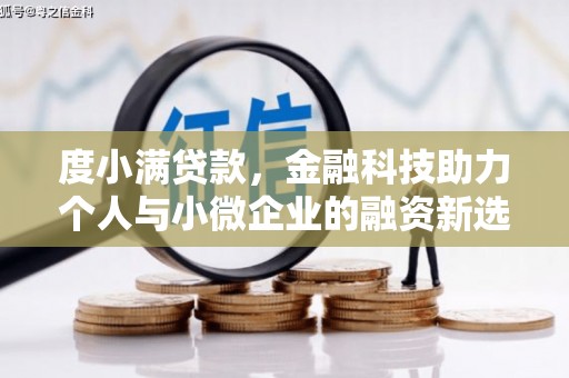 河源度小满贷款，金融科技助力个人与小微企业的融资新选择