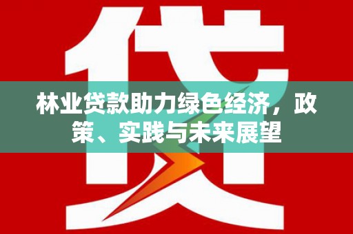 河源林业贷款助力绿色经济，政策、实践与未来展望