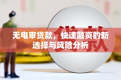 河源无电审贷款，快速融资的新选择与风险分析