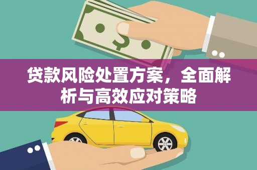 河源贷款风险处置方案，全面解析与高效应对策略
