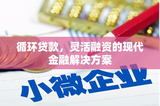 河源循环贷款，灵活融资的现代金融解决方案