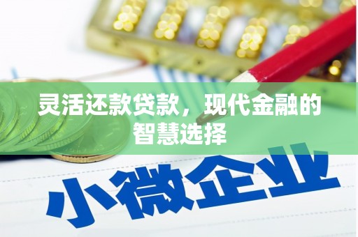 河源灵活还款贷款，现代金融的智慧选择