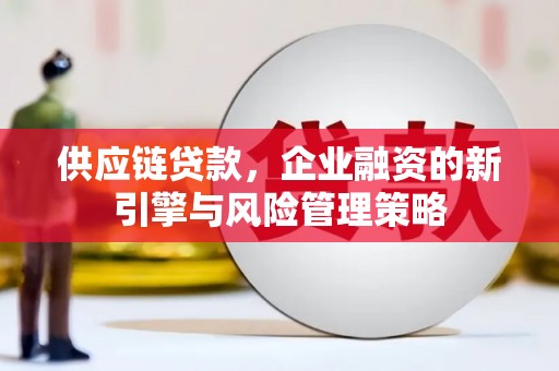 河源供应链贷款，企业融资的新引擎与风险管理策略