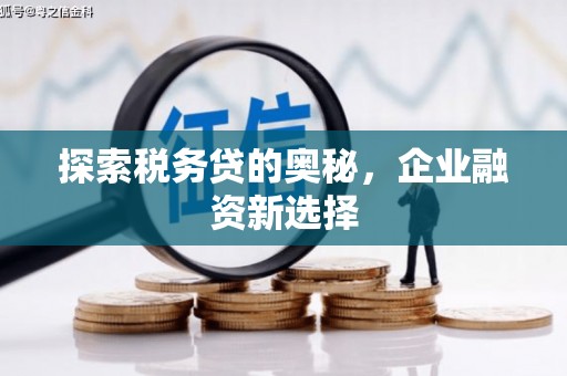 河源探索税务贷的奥秘，企业融资新选择