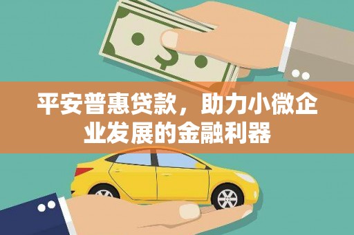 河源平安普惠贷款，助力小微企业发展的金融利器