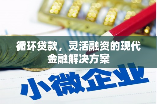 河源循环贷款，灵活融资的现代金融解决方案