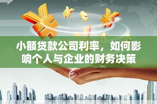 河源小额贷款公司利率，如何影响个人与企业的财务决策