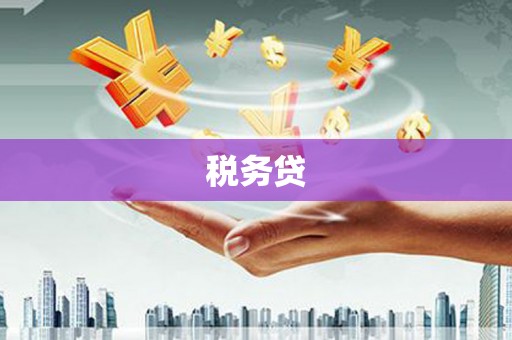 河源税务贷