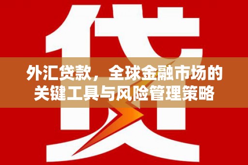 河源外汇贷款，全球金融市场的关键工具与风险管理策略