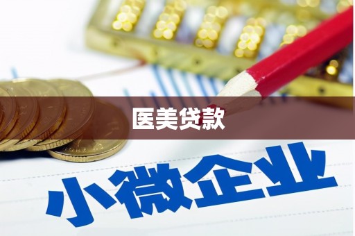 河源医美贷款
