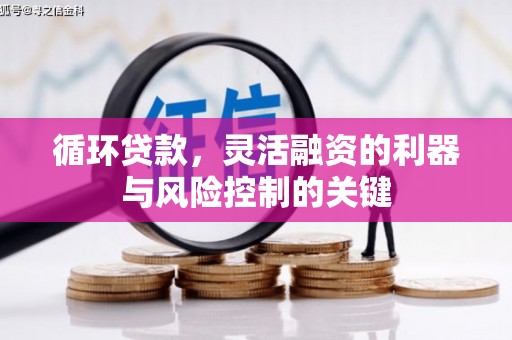 河源循环贷款，灵活融资的利器与风险控制的关键