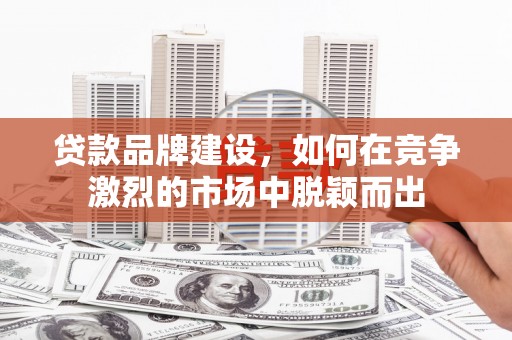 河源贷款品牌建设，如何在竞争激烈的市场中脱颖而出