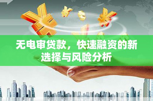 河源无电审贷款，快速融资的新选择与风险分析