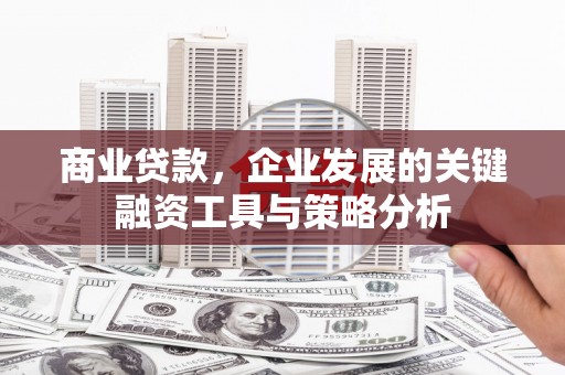 河源商业贷款，企业发展的关键融资工具与策略分析