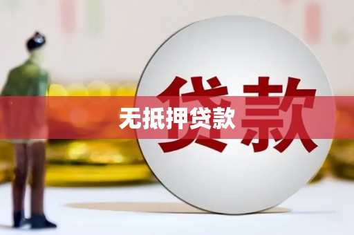 河源无抵押贷款