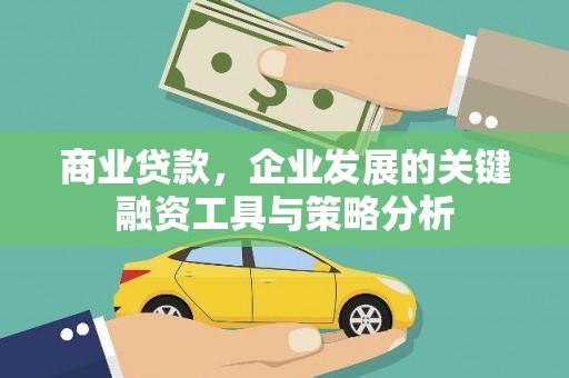 河源商业贷款，企业发展的关键融资工具与策略分析