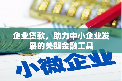 河源企业贷款，助力中小企业发展的关键金融工具
