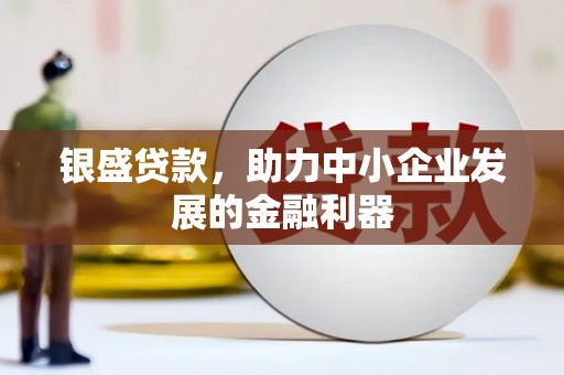 河源银盛贷款，助力中小企业发展的金融利器